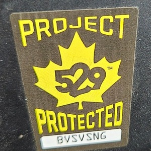 2021 Rad Power Bikes Black