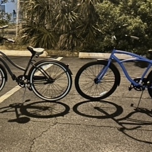 2024 Huffy Crandbrkok Silver, gray or bare metal and Green