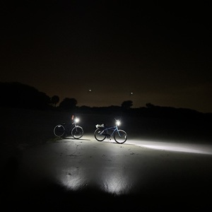 2024 Huffy Crandbrkok Silver, gray or bare metal and Green