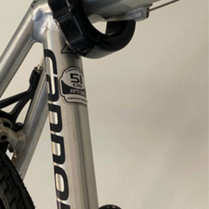 2012 Cannondale Caad 10 tandem Silver, gray or bare metal