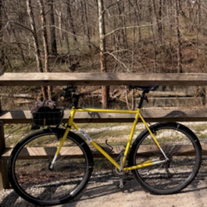 2012 All City Macho Man Yellow or Gold