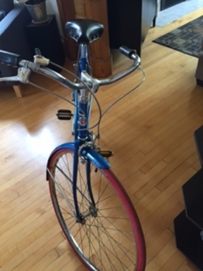 schwinn world tourist 5 speed