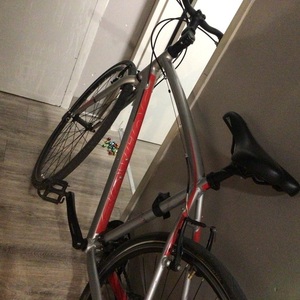 2004 Devinci Silver, gray or bare metal and Red