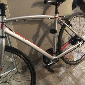 2004 Devinci Silver, gray or bare metal and Red