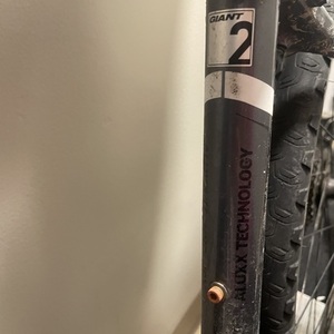 Giant Roam 2 Silver, gray or bare metal and Black