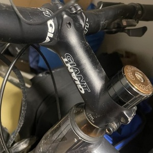 Giant Roam 2 Silver, gray or bare metal and Black