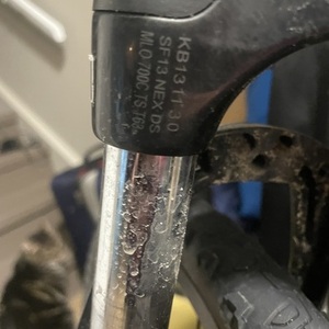 Giant Roam 2 Silver, gray or bare metal and Black