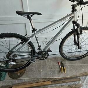 Cannondale Silver, gray or bare metal