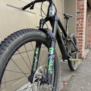 2022 Trek Remedy 9.8 carbon Silver, gray or bare metal
