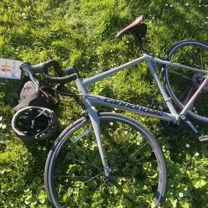 2015 Cannondale Silver, gray or bare metal, Pink, and Orange