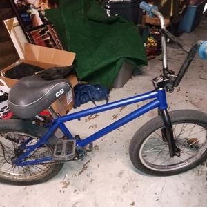 2024 MAFIA Kush 2 Blue