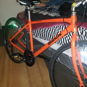 Bianchi Milano Citta Orange