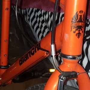 Bianchi Milano Citta Orange