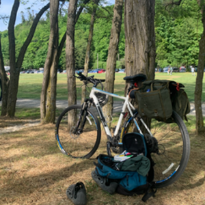2012 Trek 8.4 DS White and Blue