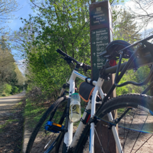 2012 Trek 8.4 DS White and Blue