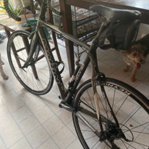 Marin Bikes Stelvio Black, White, and Silver, gray or bare metal