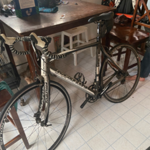 Marin Bikes Stelvio Black, White, and Silver, gray or bare metal