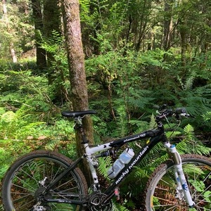 Rocky Mountain Bicycles Element 90 Black and White