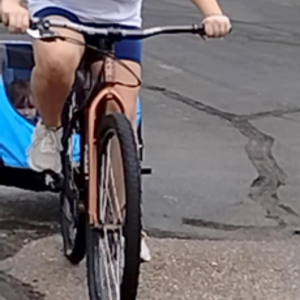 Redline Monocog Yellow or Gold