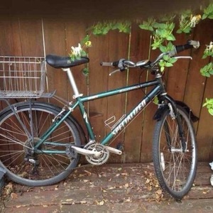 Specialized 415 FSX Green