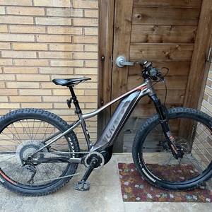 2017 Liv Vall E+ 0 Pro Silver, gray or bare metal