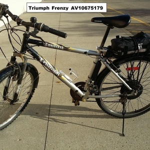 2025 Triumph Cycle Frenzy Silver, gray or bare metal