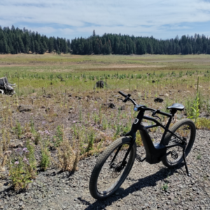 2021 Harley Davidson / Serial 1 Mosh CTY