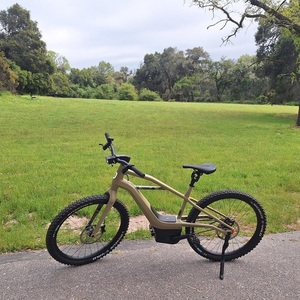 2023 Harley Davidson / Serial 1 Bash MTN