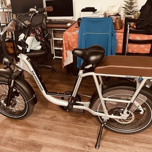 2023 Rad Power Bikes RAD RUNNER PLUS Silver, gray or bare metal