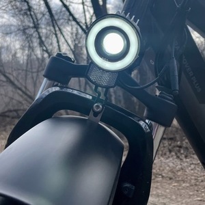 2023 Rad Power Bikes Rad Rover 6+ Black and Silver, gray or bare metal