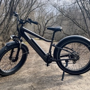 2023 Rad Power Bikes Rad Rover 6+ Black and Silver, gray or bare metal