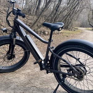 2023 Rad Power Bikes Rad Rover 6+ Black and Silver, gray or bare metal