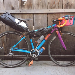 Ritte Custom Blue and Purple