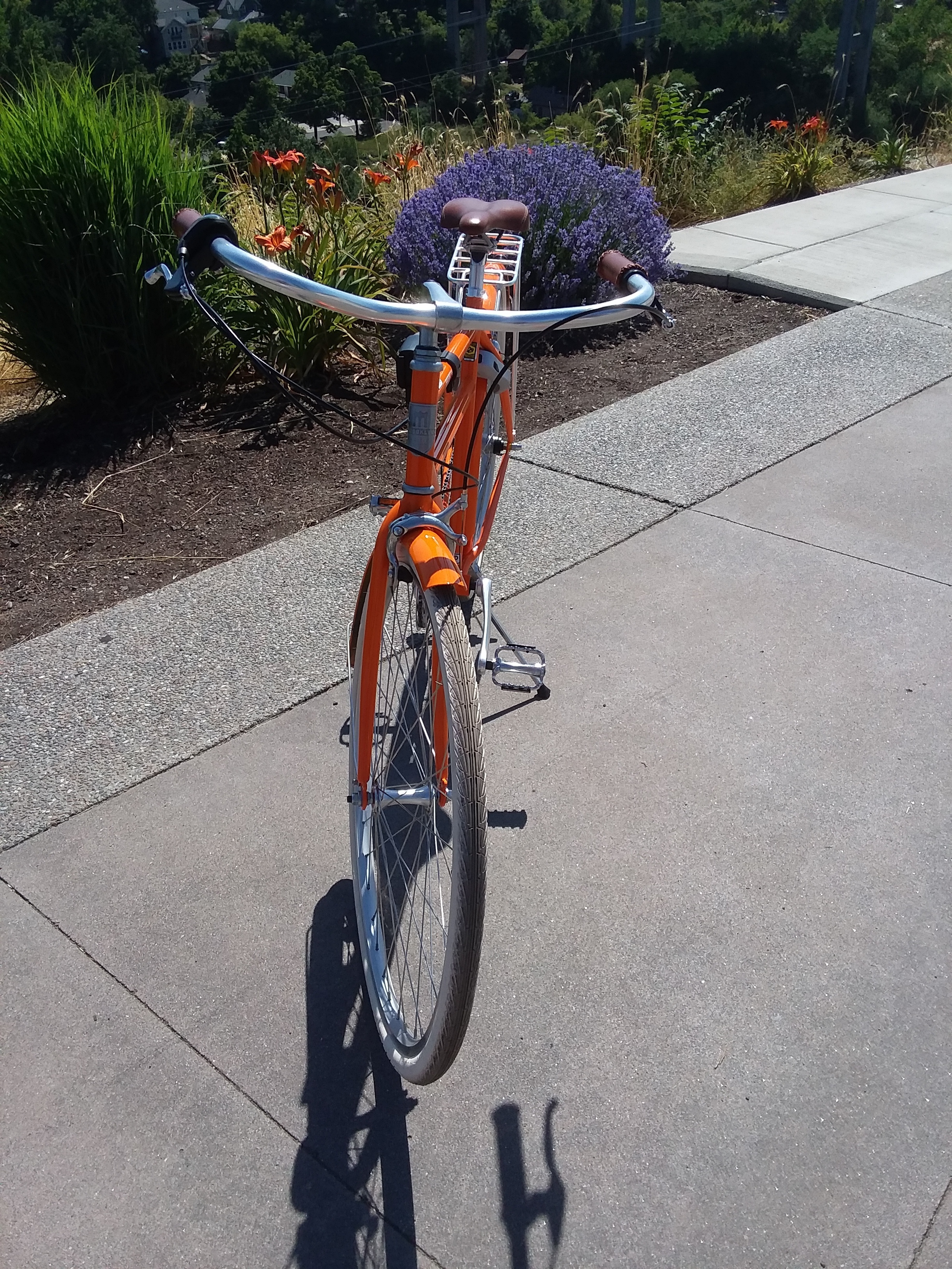 Brooklyn Bicycle Co. Driggs 3