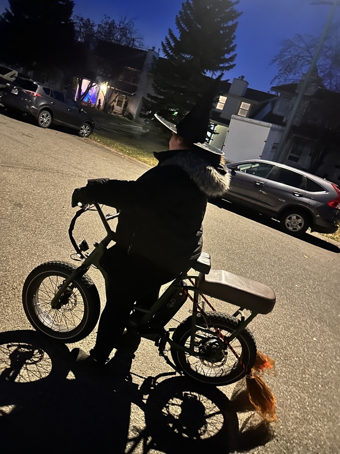 Cargo Bike Rear photo