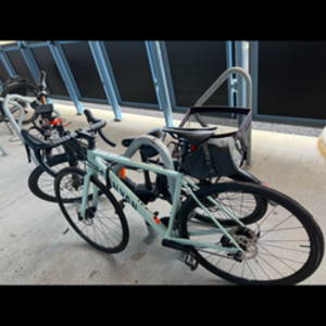 2024 Canyon bicycles Endurace AL Green