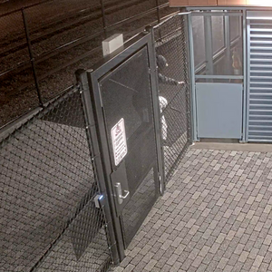 2024 Canyon bicycles Endurace AL Green