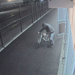 2024 Canyon bicycles Endurace AL Green