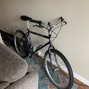 1994 Specialized HardRock Purple