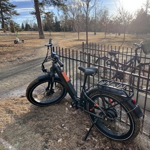 2025 Rad Power Bikes Black y Silver, gray or bare metal