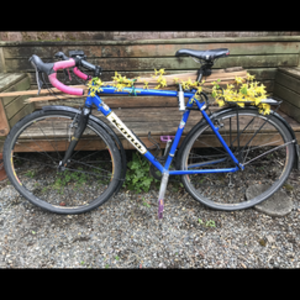 2010 Kona Blue