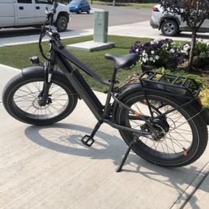 2022 Rad Power Bikes RadRover 6 Plus Electric Fat Tire Bik... Silver, gray or bare metal