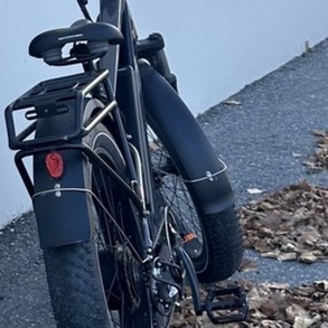 2022 Rad Power Bikes RadRover 6 Plus Electric Fat Tire Bik... Silver, gray or bare metal