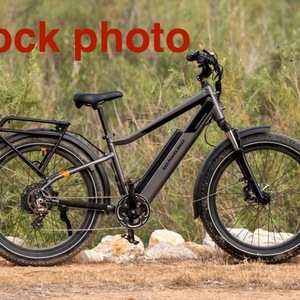 2022 Rad Power Bikes RadRover 6 Plus Electric Fat Tire Bik... Silver, gray or bare metal