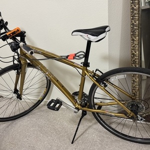 Diamondback Clarity 1 Yellow or Gold