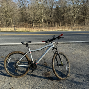 REI Co-op DRT 1.1 Silver, gray or bare metal and Red