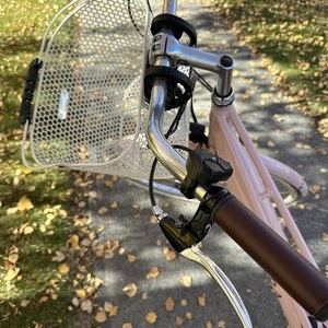 2023 Electra Townie Pink