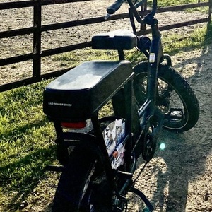 2024 Rad Power Bikes RadRunner™ 2 Electric Utility Bike Black