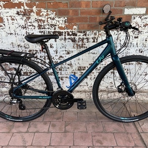 2019 Liv Alight Disc 2 Green and Blue