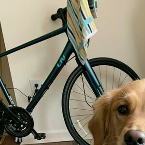 2019 Liv Alight Disc 2 Green and Blue